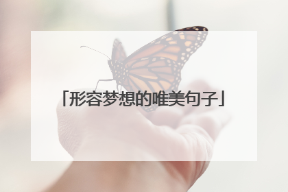 形容梦想的唯美句子