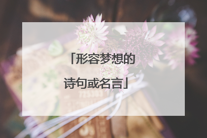 形容梦想的诗句或名言