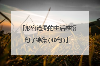 形容沧桑的生活感悟句子锦集(40句)