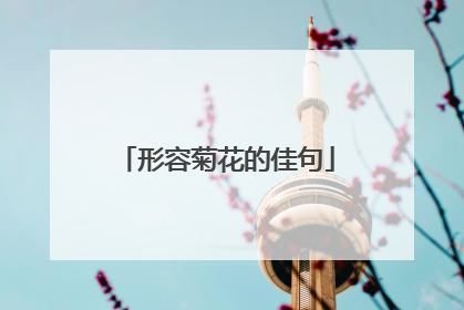 形容菊花的佳句