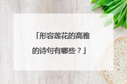 形容莲花的高雅的诗句有哪些？