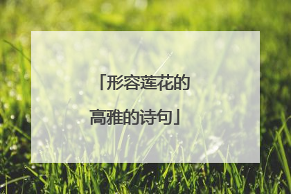 形容莲花的高雅的诗句