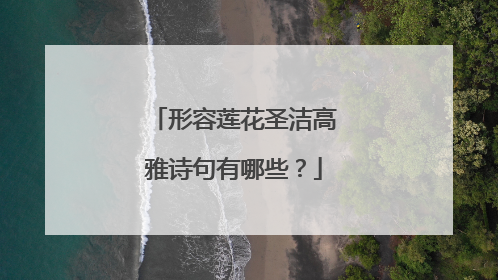 形容莲花圣洁高雅诗句有哪些?