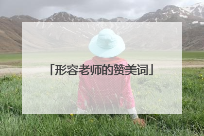形容老师的赞美词