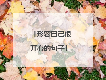 形容自己很开心的句子