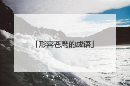 形容苍鹰的成语