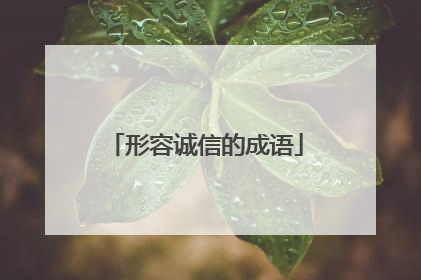 形容诚信的成语