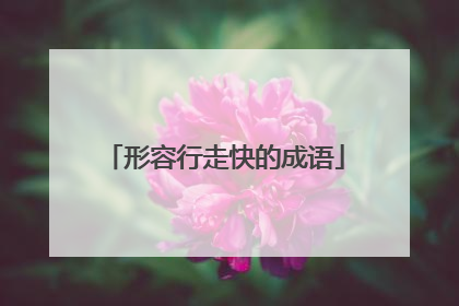 形容行走快的成语