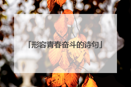 形容青春奋斗的诗句