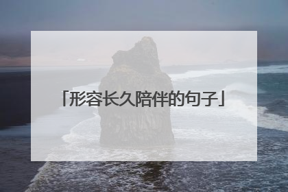 形容长久陪伴的句子