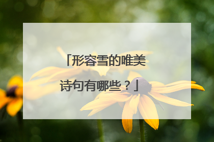 形容雪的唯美诗句有哪些?