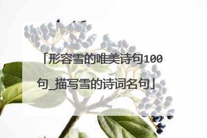 形容雪的唯美诗句100句_描写雪的诗词名句