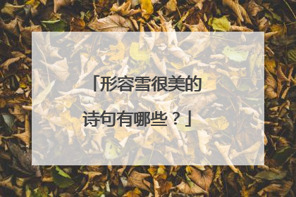 形容雪很美的诗句有哪些？