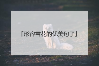 形容雪花的优美句子