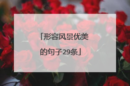 形容风景优美的句子29条