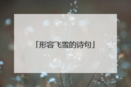 形容飞雪的诗句