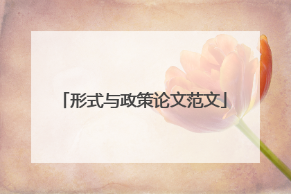 形式与政策论文范文
