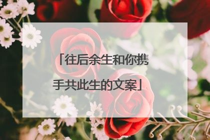 往后余生和你携手共此生的文案