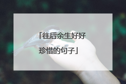 往后余生好好珍惜的句子