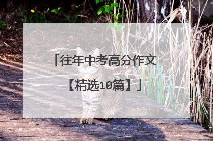 往年中考高分作文【精选10篇】