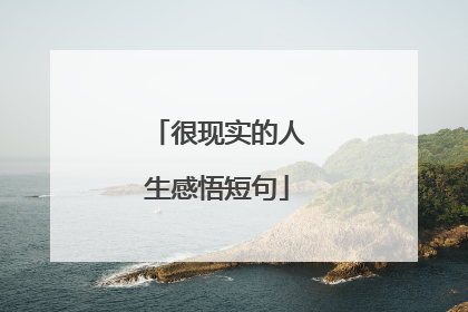 很现实的人生感悟短句