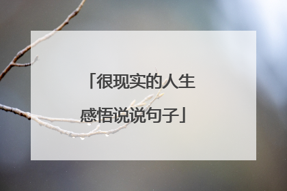 很现实的人生感悟说说句子
