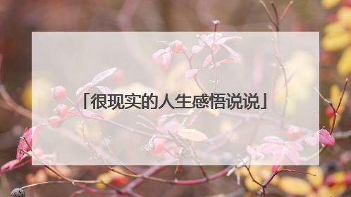 很现实的人生感悟说说