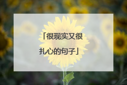 很现实又很扎心的句子