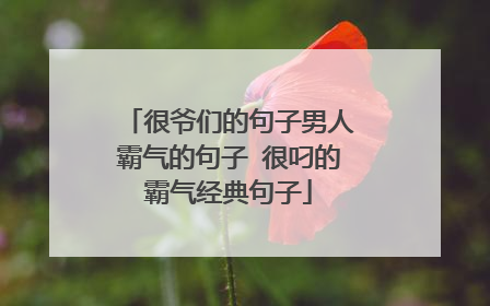 很爷们的句子男人霸气的句子 很叼的霸气经典句子