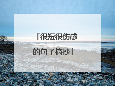 很短很伤感的句子摘抄