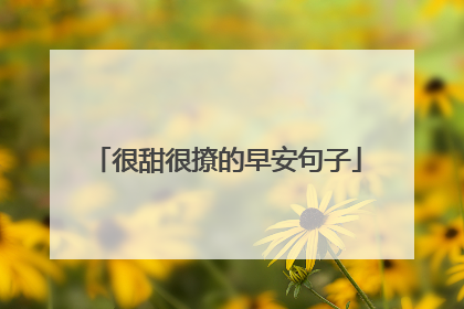 很甜很撩的早安句子