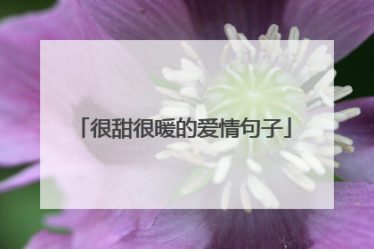 很甜很暖的爱情句子