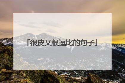 很皮又很逗比的句子