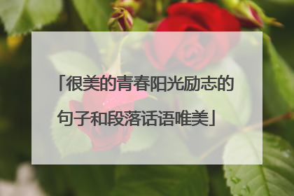 很美的青春阳光励志的句子和段落话语唯美