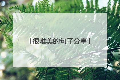 很唯美的句子分享