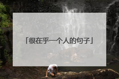 很在乎一个人的句子