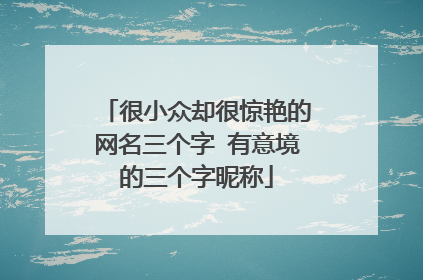 很小众却很惊艳的网名三个字 有意境的三个字昵称