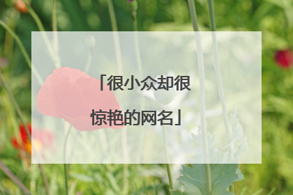 很小众却很惊艳的网名