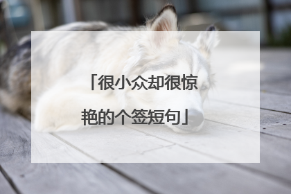 很小众却很惊艳的个签短句