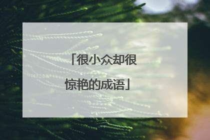 很小众却很惊艳的成语