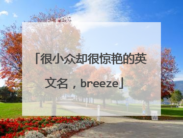 很小众却很惊艳的英文名，breeze