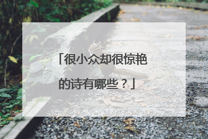 很小众却很惊艳的诗有哪些？