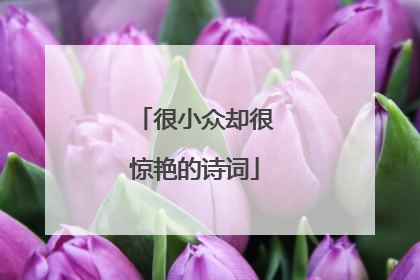 很小众却很惊艳的诗词