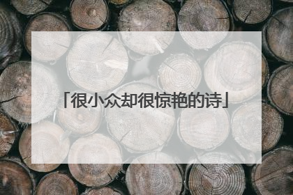 很小众却很惊艳的诗