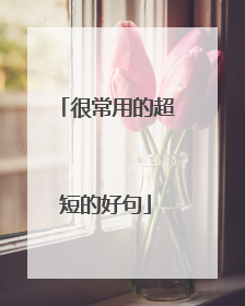 很常用的超短的好句