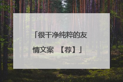 很干净纯粹的友情文案 【荐】