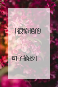 很惊艳的句子摘抄