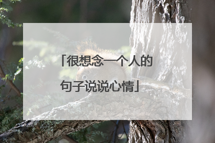 很想念一个人的句子说说心情
