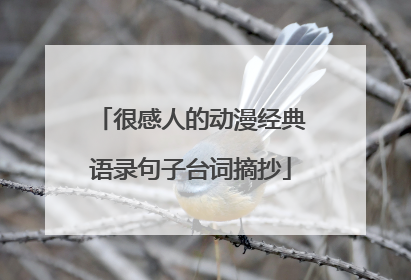 很感人的动漫经典语录句子台词摘抄