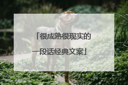 很成熟很现实的一段话经典文案